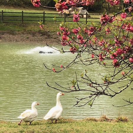 Farm Club Australia Villa Werai Bagian luar foto